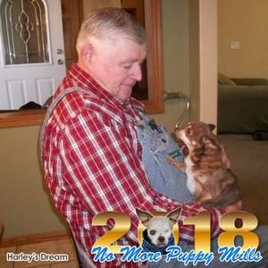 Meet your Posher, Ann